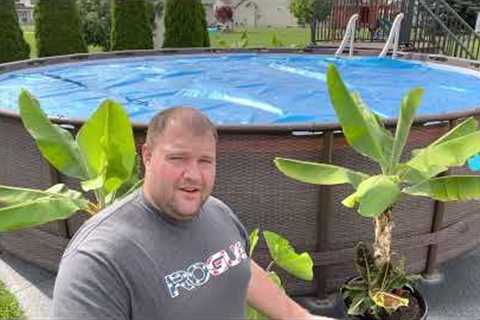 The BEST BASE for an above ground pool!!