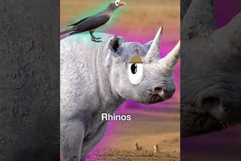 Animal That Are Secretly Best Friend😍 #shorts #facts