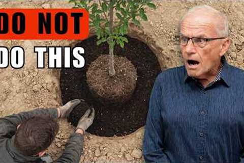 10 Landscaping Myths You Still Believe (Stop Doing These!)