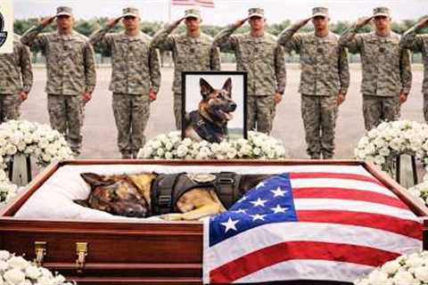 Memorial service held Wednesday for K9 Rico | top best dog training techniques