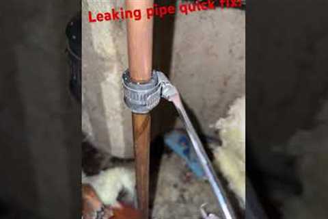 Temporarily fix leaky pipes with this trick! #plumbing #leaks #flood #water