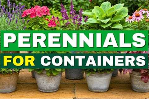 😍 Top 7 Easiest Perennials for Container Gardening | Low Effort, Big Impact!