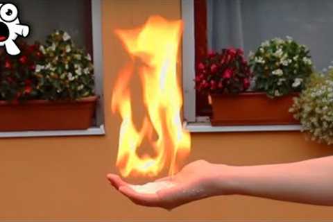 Easy Science Magic Tricks Anyone Can Do