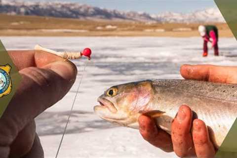 Ice Fishing Basics for Beginners