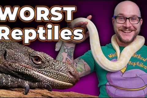 The 5 WORST Beginner Reptiles and 5 BETTER Options You've Never Heard Of!