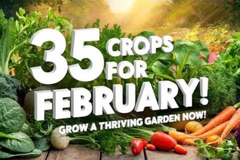 35 Crops to Plant in February for a Thriving Garden | Gardening Tips &amp; Time-Lapse Guide