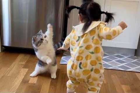 The Most dramatic cats moments ever! 😂🤣 Funny Cat Videos 2025