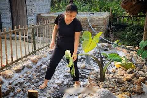 Simple Village Garden Design | Creating a Beautiful Backyard with Natural Stones || Ly tieu Ly 