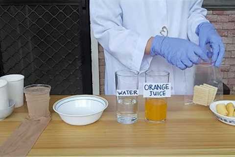 Digestive System Demo- Do it at Home Experiment