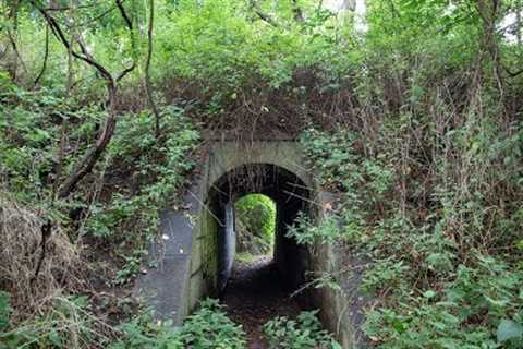 Exploring Abandoned Military Bunkers on Staten Island