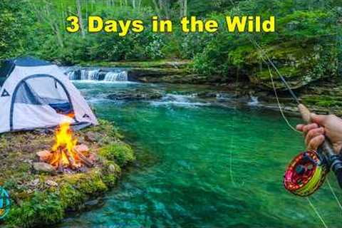 INTO THE WILD: 3 Days Solo Camping and Fly Fishing for Trout!