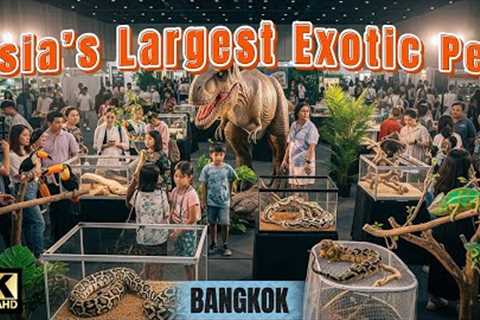 The Largest Exotic Pet Event in Asia – Bangkok, Thailand 2025