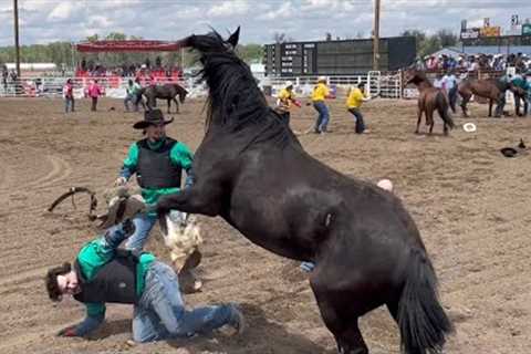 Up Close And Personal Wild Horse Race - 2025 Miles City Bucking Horse Sale - 3rd Race