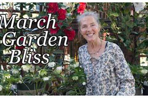 What's New This Week at Cottage Gardens? Marching Forth into Garden Bliss! 🌺 #gardening #gardentips