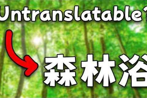 Are There Any Untranslatable Japanese Words?