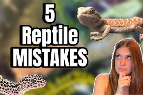New Reptile Owner? Avoid These 5 Huge Mistakes!! 
