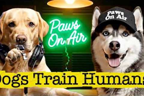 Dogs Reveal How They Secretly Train Humans | Funny Dog Podcast | Paws On Air