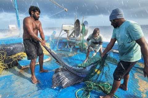 Day-03 | Third Day in the Middle of the Ocean | Tuna Fishing & Boat Cooking | S-01