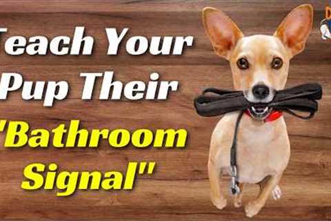 🐾How To Teach Your Puppy To Tell You They Need To Go Outside To Potty Housetraining Tip🐾