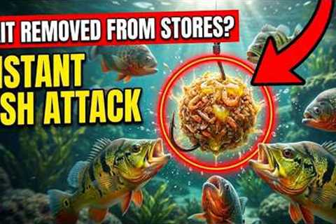 I Did This Once And Never Needed Artificial Bait Again — Removed From Professional Fishing Stores.