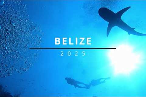 2025 - Belize #4k #scubadiving