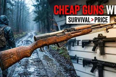 STOP Wasting Money! These 10 Budget Guns Beat $2000 Rifles