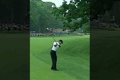 Greatest Golf Shot Of All Time
