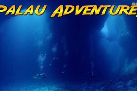 Palau Scuba Adventure! (World's best diving?)