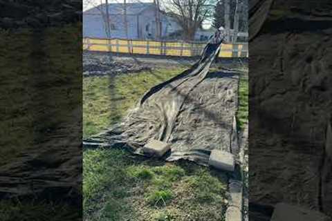 How to turn your lawn into flowers the easy way