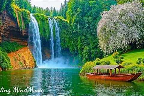 Healing Music Helps Reduce Stress🌿Relaxing Piano Music &amp; Nature Sounds Helps Stop Overthinking