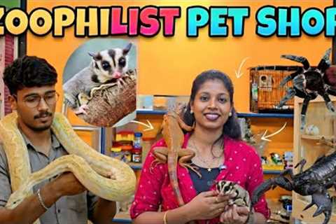 Exotic snake,fish,terrenulla , hamster , sugar glider,  iguanas pet shop chennai 