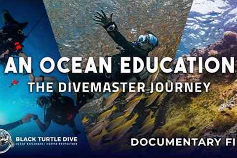 An Ocean Education: The Divemaster Journey (Full Documentary) Koh Tao, Thailand