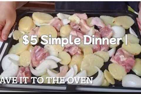 $5 Simple Dinner | Chicken & Vegetable Meal