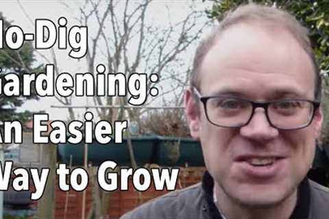 No-Dig Gardening: An Easier Way to Grow