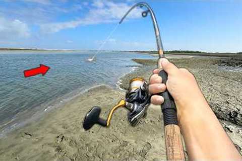 Eating Whatever I Catch.. Fishing w/ Livebait (Catch and Cook)