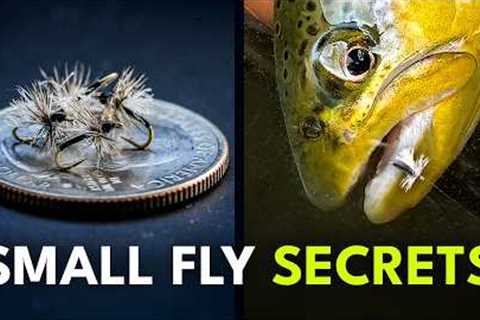 Fly Fishing With Small Dry Flies (Part 1) | Ep. 170