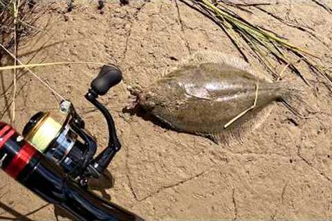 Stealth Fishing Catching Flounder on a Rod - Catch & Cook!