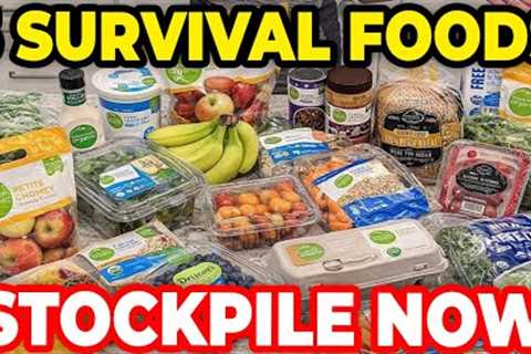 Stockpile ONLY 5 FOODS to SURVIVE — Everything Else Is Useless!