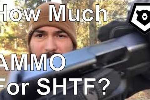 How much ammo for SHTF? Prepper Minuteman Militia Discussion