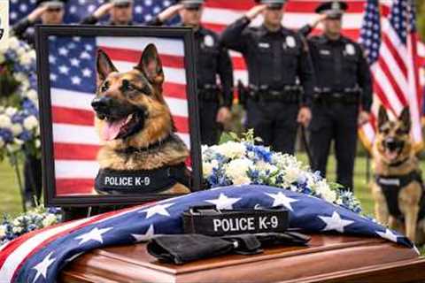 Officers Honor Last 911 Search Dog With Moving Tribute Before Being Put Down |top best dog training
