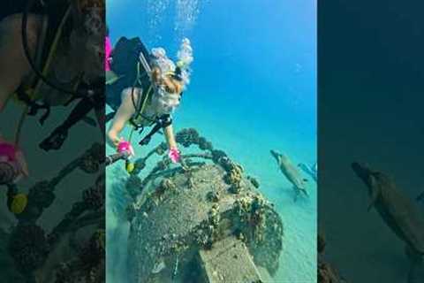 Scubie girls #scuba #diving #underwater #scubadiving