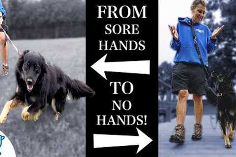 Teaching Your Dog To Listen To You Outside AND Off-Leash!