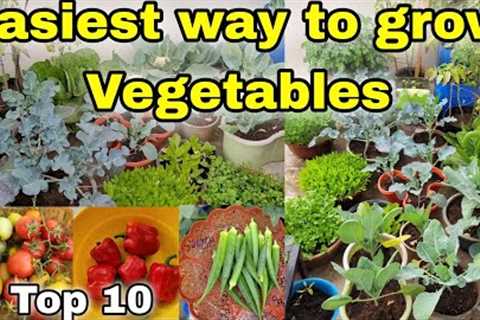 Top 10 VEGETABLES to grow at Home