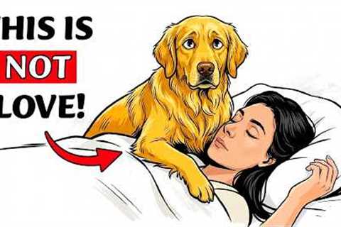 If Your Dog Climbs On You, They're Trying to Tell You This!