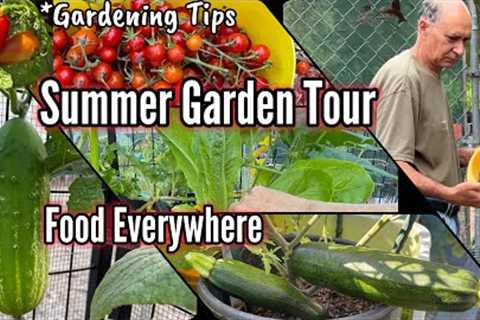 Vegetable Garden Tour TIPS Growing Tomatoes Peppers Lettuce Herbs Kale Collard Container Gardening