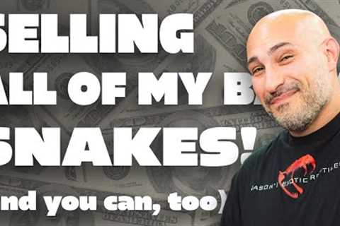 Buy My Snakes! How to Make Money Breeding Reptiles