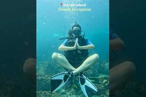 Scuba diving only at 3500 | Netrani Island | Gokarna #ytshorts #scubadiving #netraniisland