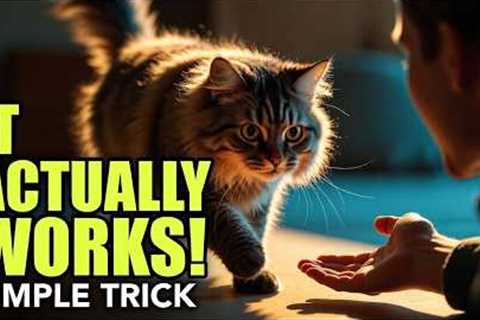 How To Train Your Cat To Come When Called (Simple Method)