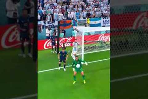 Best Funny Goals In the History 🤣 #footballdominance #sportsball #fiotball #soccer #soccerball