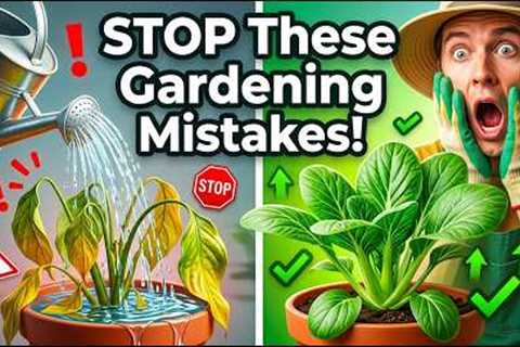 9 Beginner Gardening Mistakes That Are Killing Your Plants Avoid These!